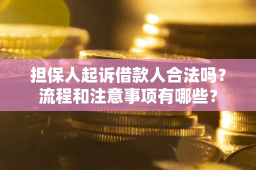 济南担保人起诉借款人合法吗？流程和注意事项有哪些？