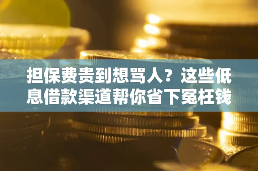 济南担保费贵到想骂人？这些低息借款渠道帮你省下冤枉钱