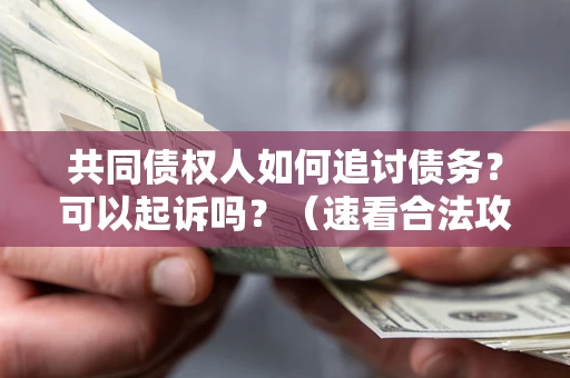 济南共同债权人如何追讨债务？可以起诉吗？（速看合法攻略）