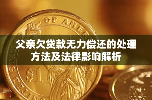 济南父亲欠贷款无力偿还的处理方法及法律影响解析