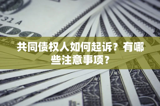 济南共同债权人如何起诉？有哪些注意事项？